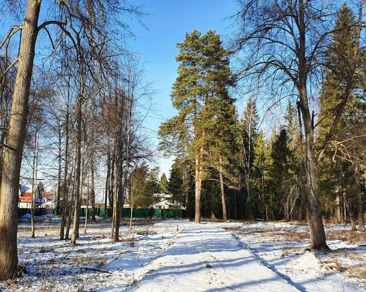 Иневка наро фоминский. Симбуховское лесничество. "Лесная" "64 км". КП Иневка. Озеро в Иневке в Наро-Фоминске.